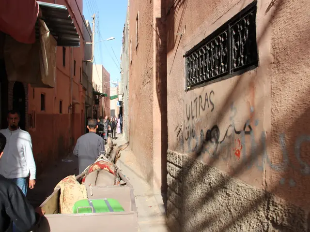 Aid for Gaza's Survival: Ways to Assist in Maintaining Life Amidst Israel's Struggle