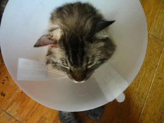 First American participant joins ATHENA trial conducted by Anaconda Biomed