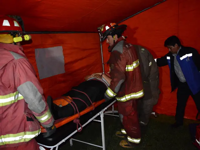 Wilderness First Aid Course Assessment: A User Experience Analysis