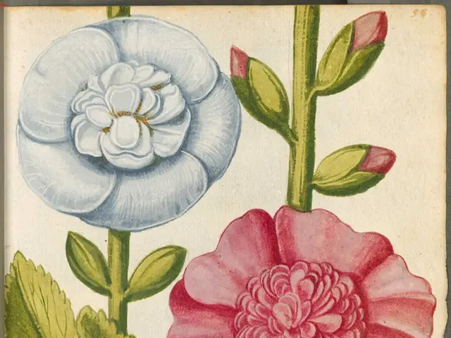 Muse-ing can spark creativity