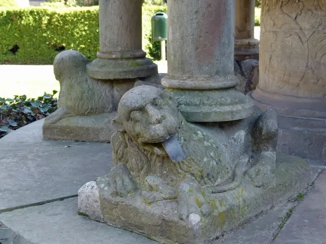 Escaping the Pursuit of Lions: Understanding and Perspective