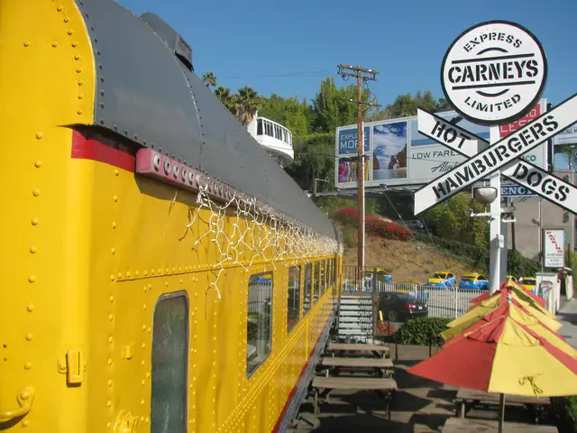 Comprehensive Handbook on Vital Services for the Elderly: An In-depth Overview