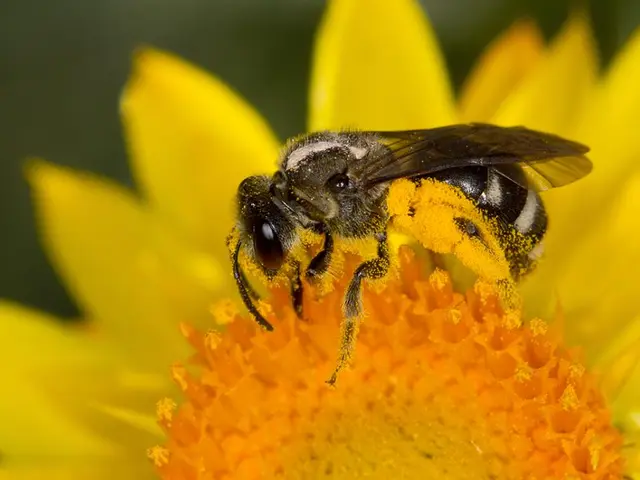 Nation currently in emergency status.