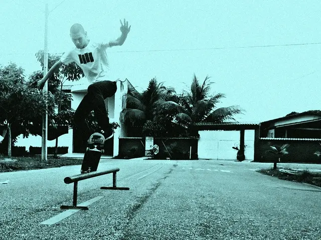 Guideline to Danny Way's Businesses: Insight into the Entrepreneurial Endeavors of the...