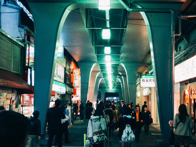 Ongoing transformation of Berzina Street persists