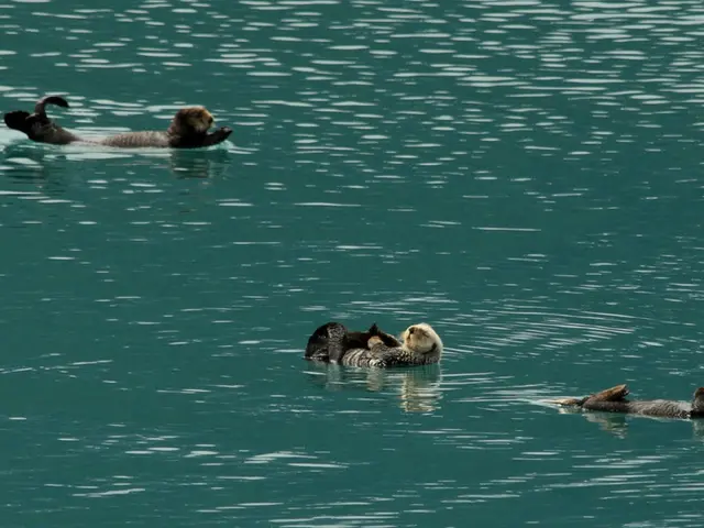 Natural Water Sources: Crucial Strategies for Locating Them