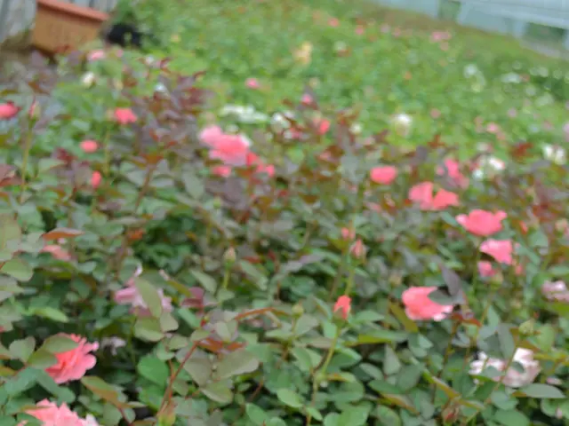 Wilmot Cancer Institute Appoints Karen Mustian as Associate Director for Population Science