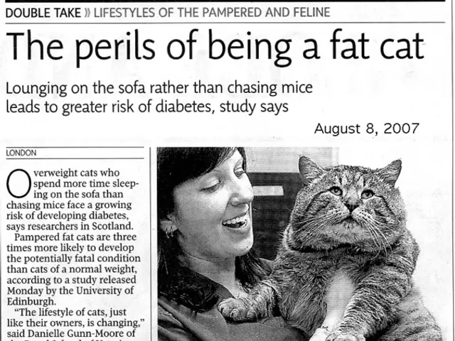 Domestic Violence on the Rise in Germany, According to Recent Report