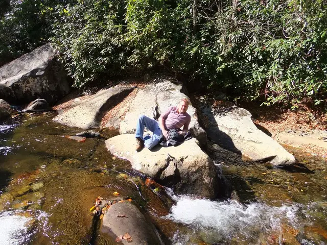 Chemicals used for fluoridation deemed hazardous to health by a federal court ruling
