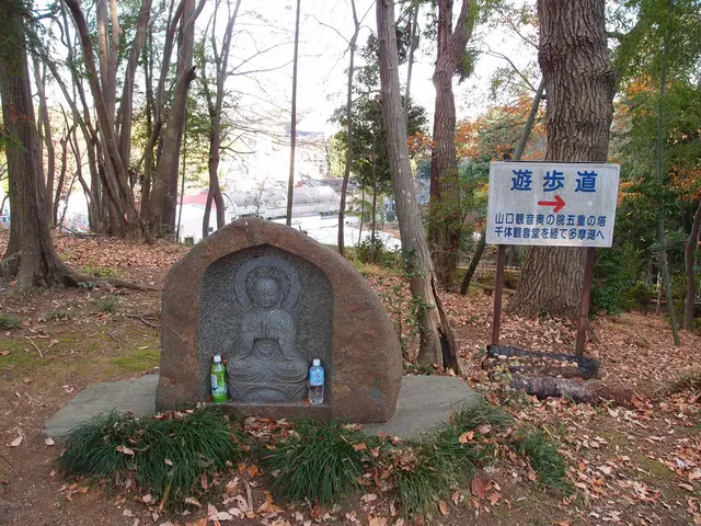 "Sebastian Kneipp is my ardent interest"