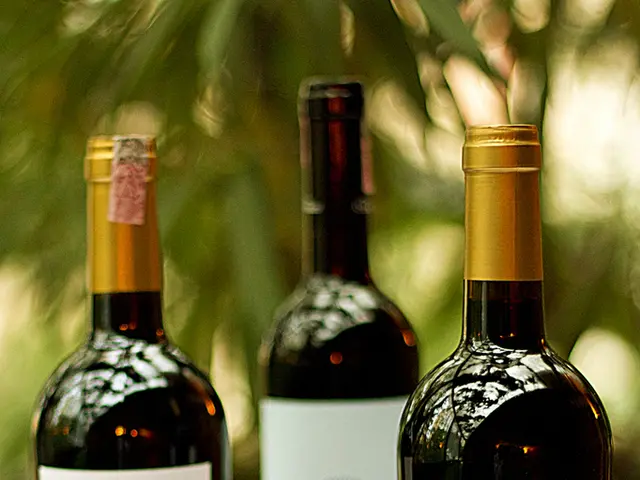 Trying to Identify Persistent Negativity: Strategies for Recognition and Management