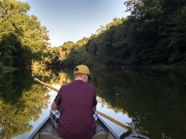 Rowing Machines: Peerless Fitness Equipment: 7 Perks Explored