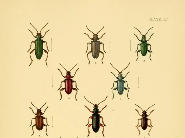 Chemical compound Acetamiprid sparks heated debate between politics and science