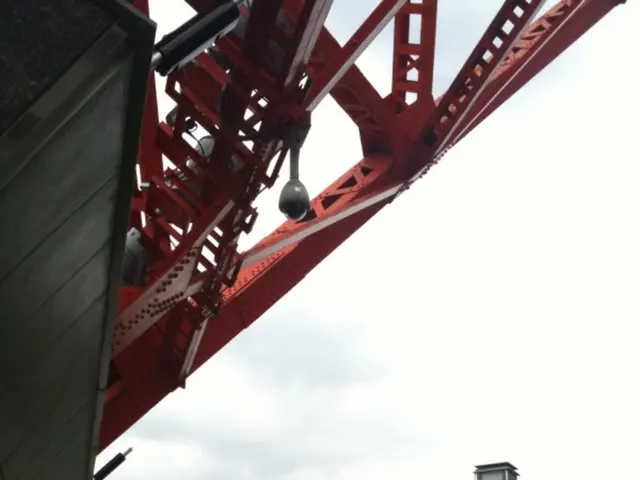 Zoo's New Lion Bridge Access Restricted for Some Visitors!