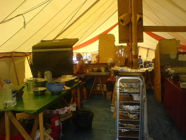 Adult Meningitis: Signs, Causes, and Further Information