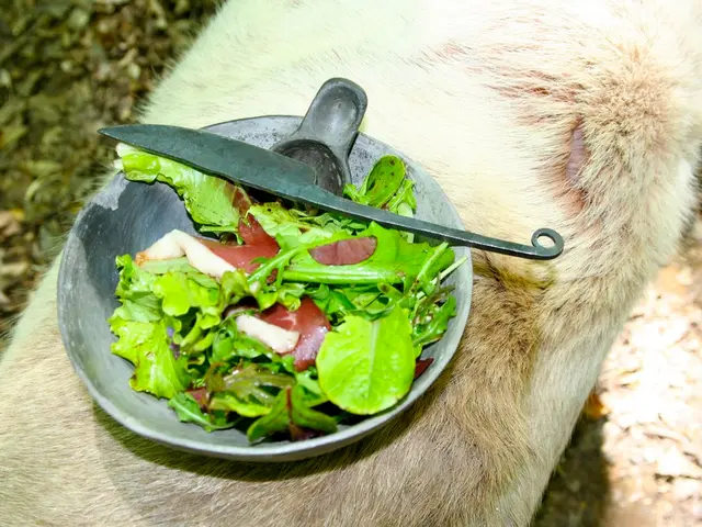 Ulcerative colitis treatment options: Expert opinions on J-pouch considerations