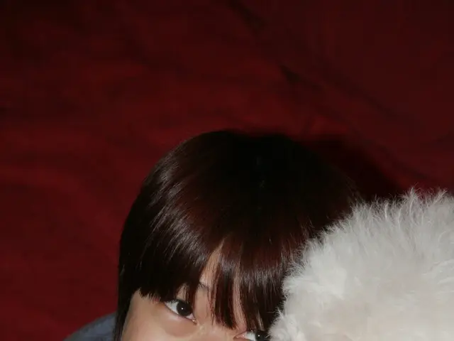 Pets' Contribution to Alleviating Daily Tension and Anxiety Levels