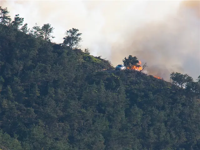 Wildfire smoke poses the equivalent health risk of regularly smoking half a pack of cigarettes...