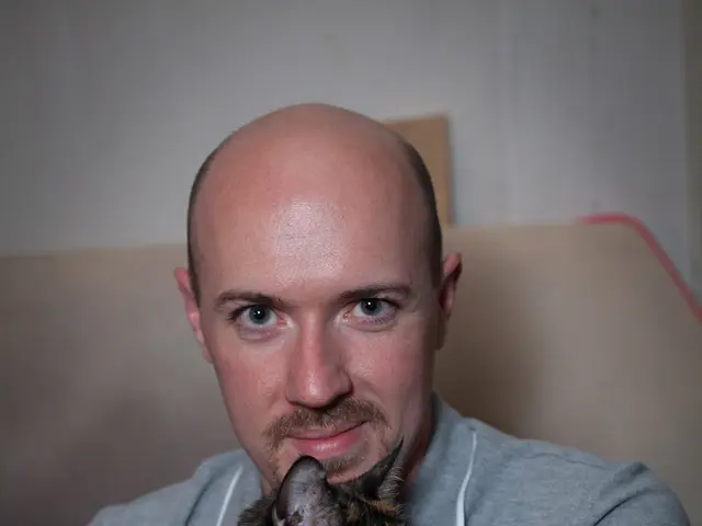 Meningitis in Felines: Symptoms, Causes, and Remedies