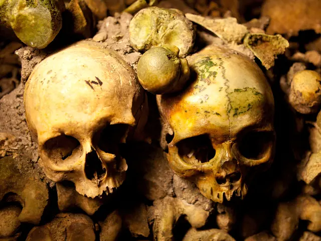 Research by M. Catani and colleagues, published in 2011