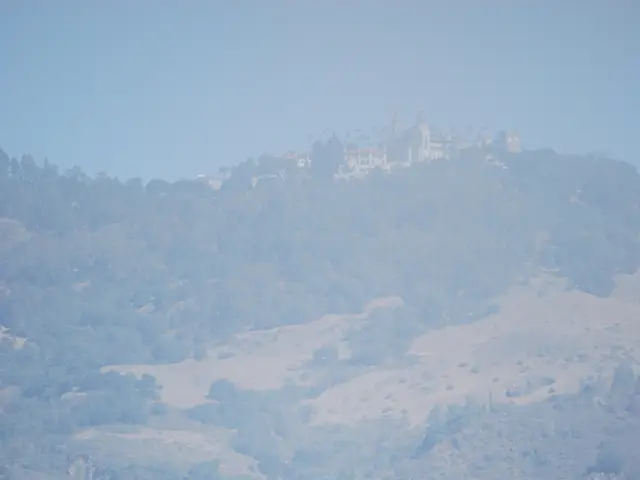 Farm in Freiberg for Young People Gathers Funds for Equine Therapy Session