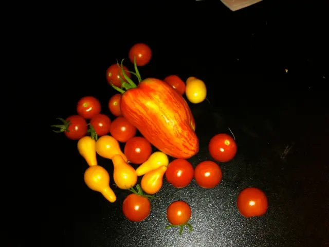 Impact of Exclusively Eating Fruits on the Human Body