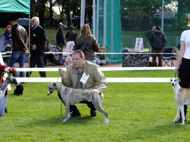 Rescue dog unit in Emmendingen sets new record for successful missions