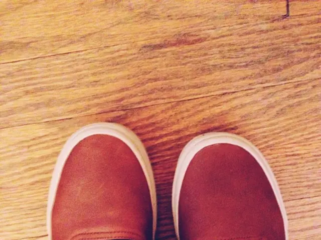 "2024-08-07 News Summary"