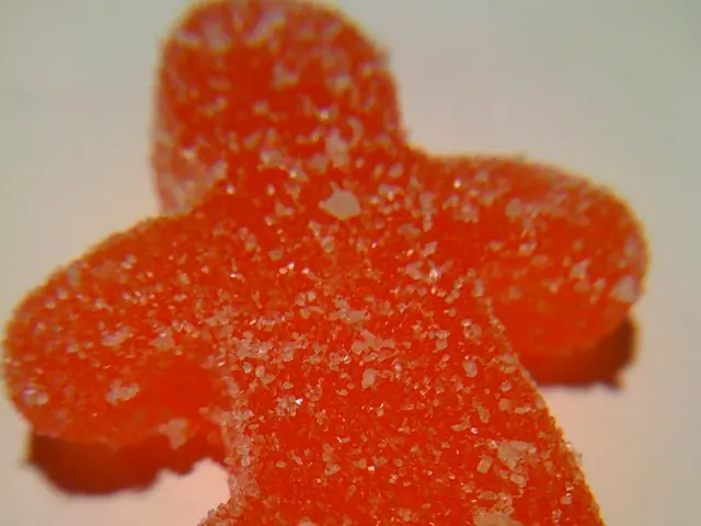 The Connection Between Sugar Consumption and Anxiety Levels