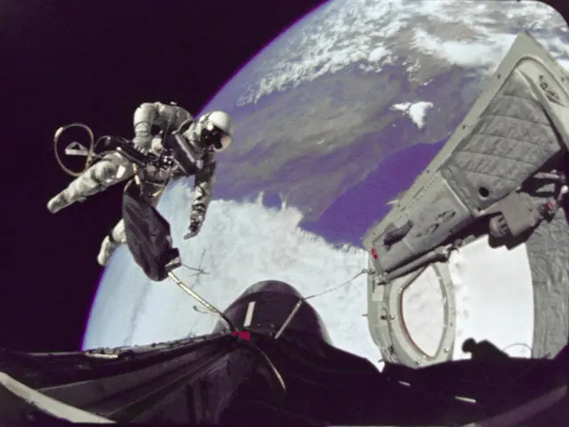 Deep Space Missions may rely on hibernation techniques similar to that of a hamster's sleep pattern...