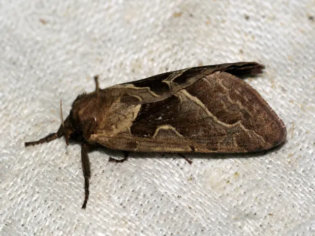 Frequent Skin Problems in Children