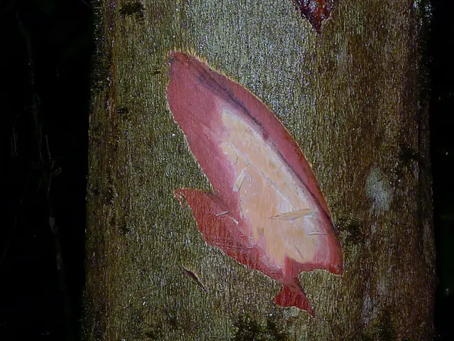 Aging joint health and mobility potential enhancement with the aid of stem cells?