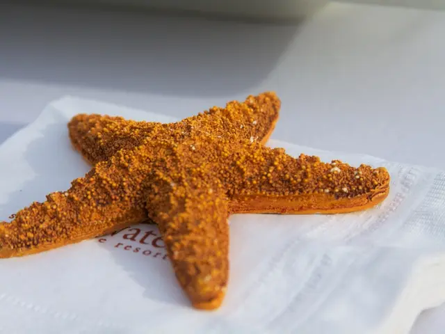 Organ Structure, Role, and Health Issues: Liver and Pancreas Explained