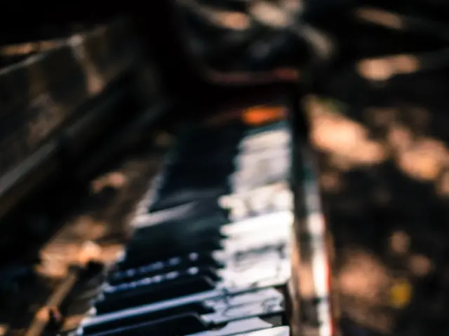 Music'stherapeuticEffect: DiscoveringitsRoleinStressReductionandRelaxationEnhancement