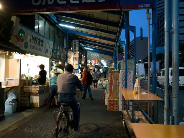 Utilizing a smartphone in Lübeck