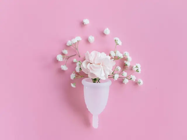 Ibuprofen's Impact on Menstrual Cycle: Potential for Postponement or Cessation?