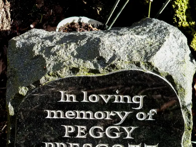 Natural remedy for gallstones: Chanca Piedra