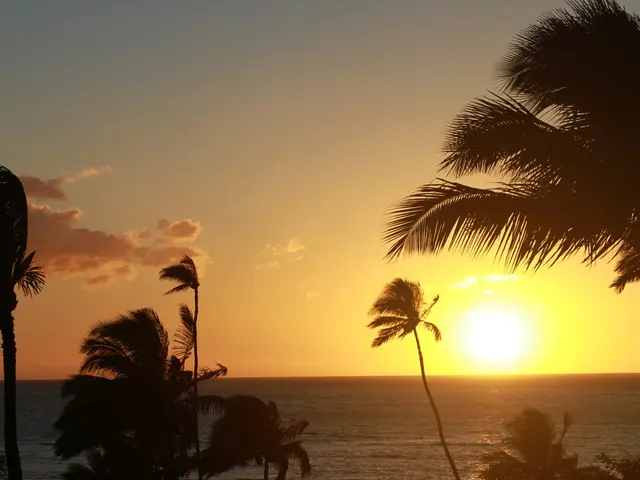 Monsoon Season and Sunscreen: The Importance of Skin Protection Despite the Rain