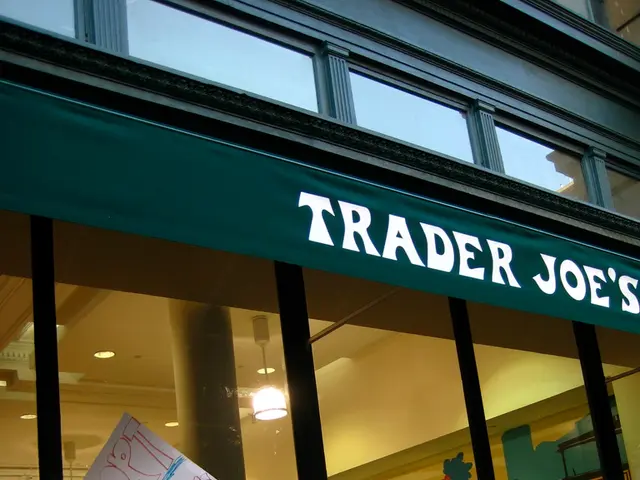 European Social Fund Development Program Proposed by Commission for Implementation