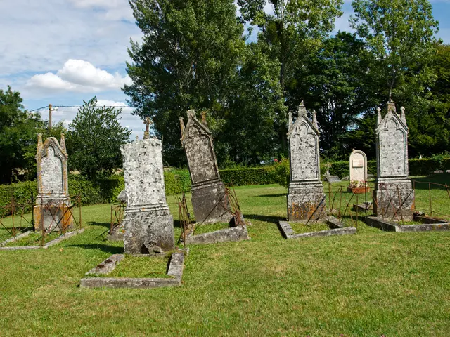 "Which entity accompanies them as they stride?"