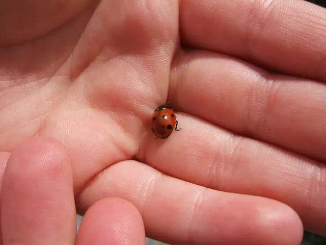 Excessive Activity Following Carpal Tunnel Surgery: Potential Risks and Further Details