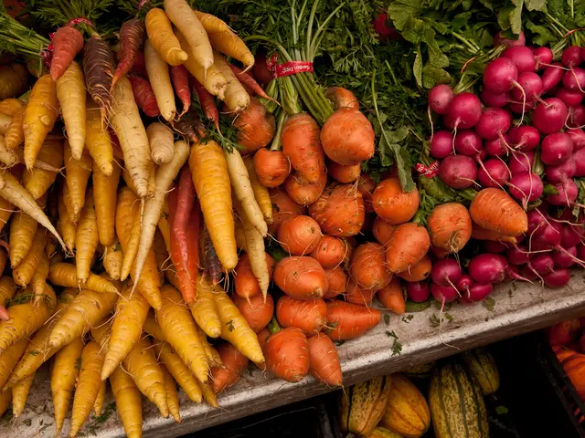Cultivate vegetables during the winter months? Discover winter vegetables for an extended harvest...