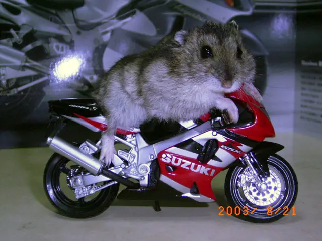 Obese status before pregnancy found to heighten risk of autism development