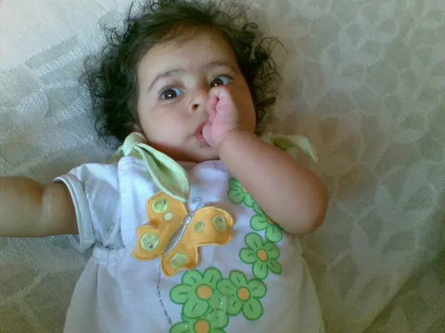 Premium Organic Avocado Crib Mattress