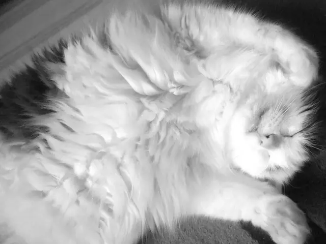 Restful Slumber with Hypertrophic Cardiomyopathy: Suggestions for a Peaceful Night's Rest