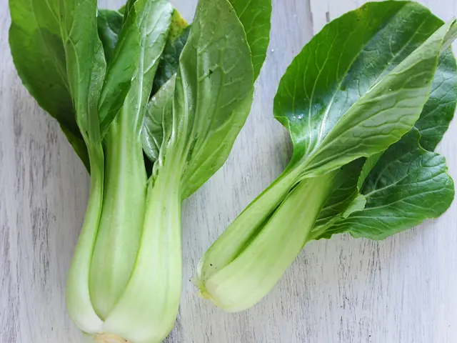 Hidden Stress Relievers in Everyday Food: The Unseen Benefits of Dark Leafy Greens