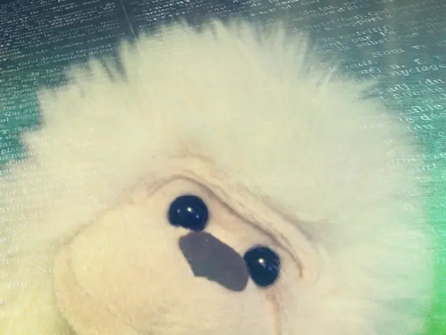 Unveiling the Science Behind Waterproofing Football Boots