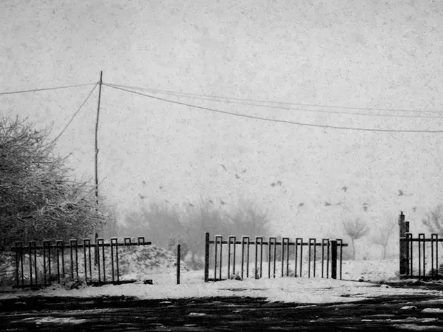 Reduction of Daylight and Onset of Depression