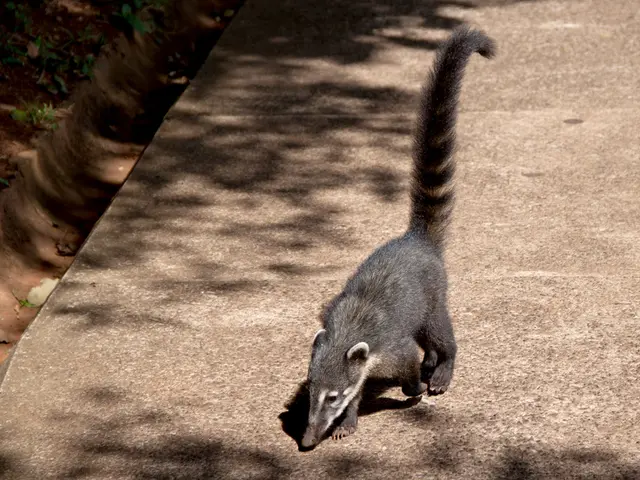 Gastritis Intensity: Root Causes, Observable Symptoms, Diagnostic Procedures, and Beyond