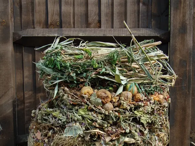 Strategies to Eliminate Kitchen Bin Maggots - 4 Expert Methods Guaranteed to Keep Your Waste Area...